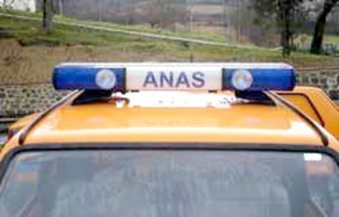 Anas