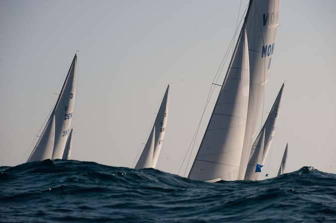 Vela, Dragoni in allenamento a Imperia