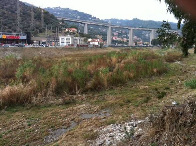 torrente impero vegetazione