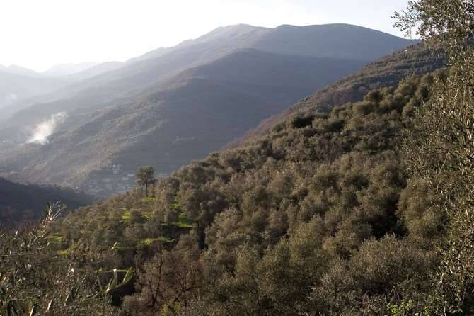 Dolceacqua, le DOP liguri corrono su Alvi Trail: ultra trail sull’Alta Via dei Monti Liguri