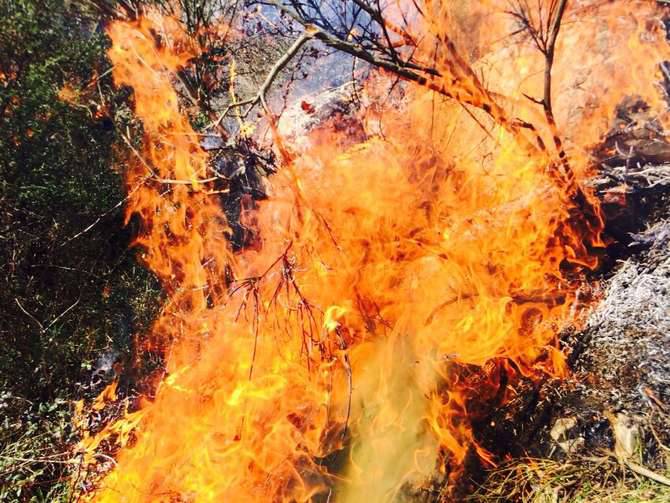 Incendio alle spalle di Roquebrune a poca distanza dal confine