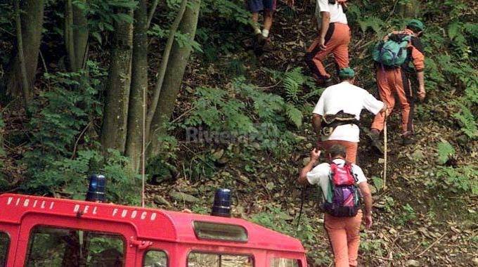 vigili del fuoco bosco