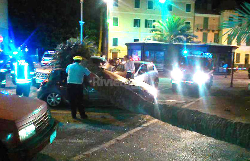 Bordighera, spavento in centro città: una palma crolla su un’auto vicino al comando della Polizia Locale