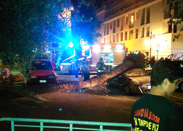 Bordighera, spavento in centro città: una palma crolla su un’auto vicino al comando della Polizia Locale