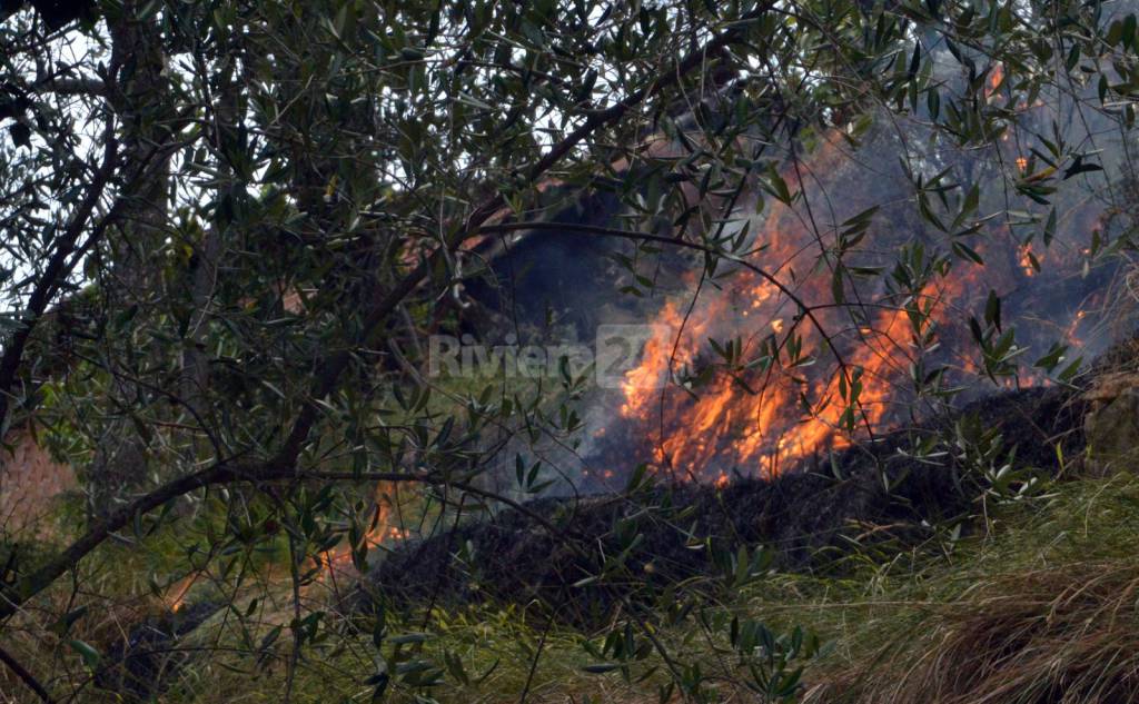 Sanremo, incendio sulle alture: interviene l&#8217;elicottero