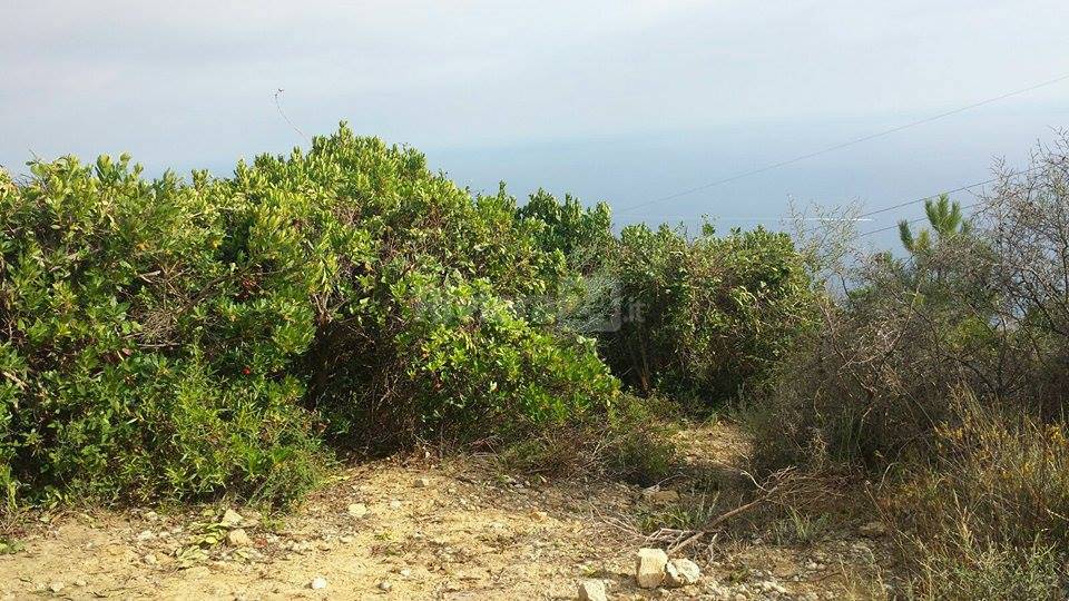 Il bosco di Monte Nero ostaggio dei cacciatori, l'allarme della Protezione Civile