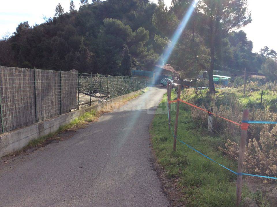 Tragedia in campagna: muore sotto il trattore ribaltato