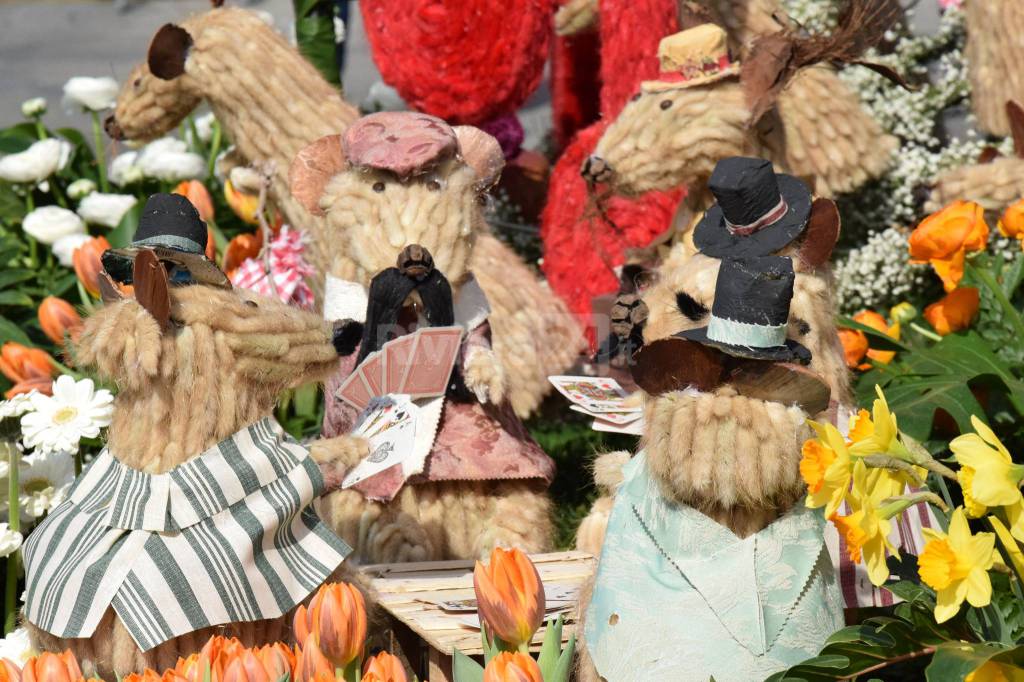 Taggia alza il Trofeo di Sanremoinfiore2016