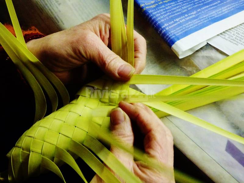 Bordighera, lavorazione della palma per il tradizionale parmurelu