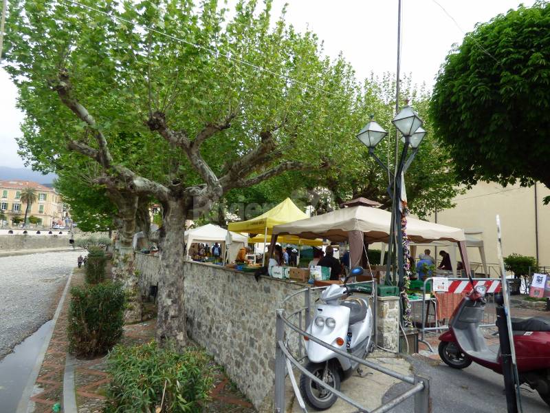 Dolceacqua, Expo Val Nervia & Carugi in Fiore: profumi e colori nel borgo dei Doria