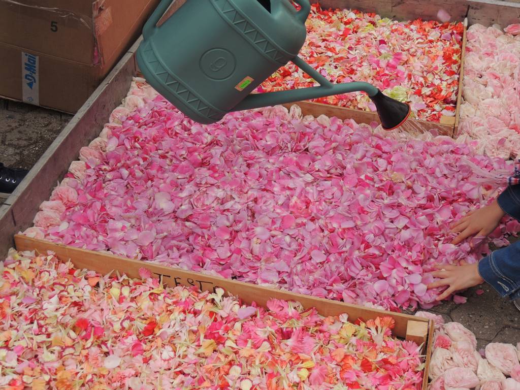 25mila fiori di Sanremo a Milano per la storica infiorata ai “Bagni Misteriosi”