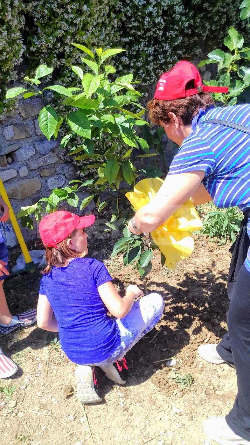 Si è svolta a Cervo la ‘Festa degli Alberi’, evento organizzato dai Volontari della Protezione Civile