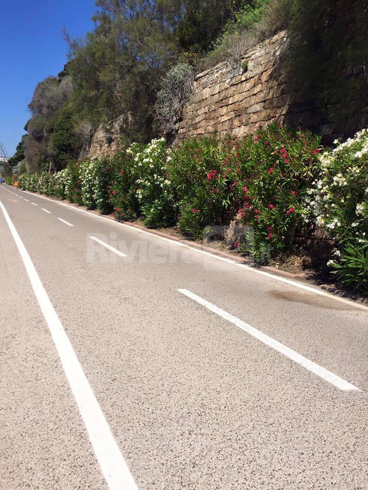 Manutenzione del verde pubblico sulla pista ciclabile, “Lavori straordinari che dureranno tre anni”