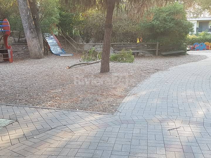 Taggia, mamme sul piede di guerra dopo il ramo caduto nel parco giochi del Viale delle Palme