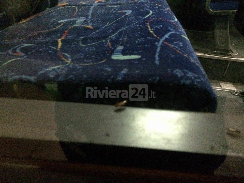 Riviera24 - scarafaggi sugli autobus