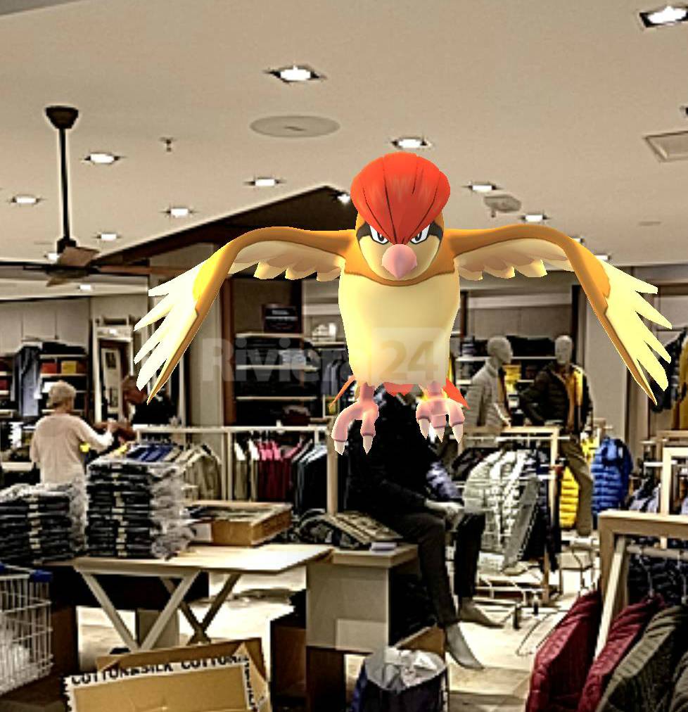 riviera24 - Pokémon alla Riviera Shopville di Arma di Taggia