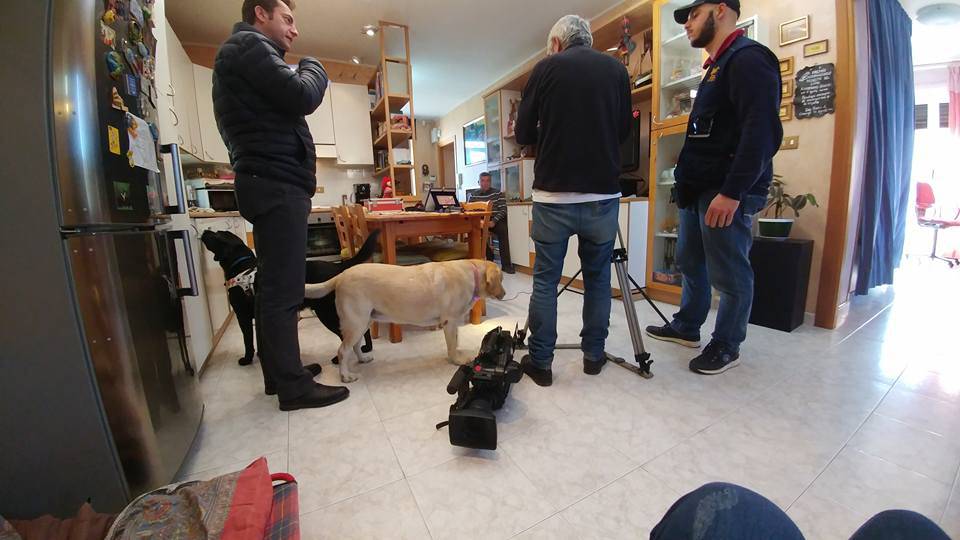 Civezza, i cani guida “Penelope” e “Spritz” protagonisti a “La vita in diretta”