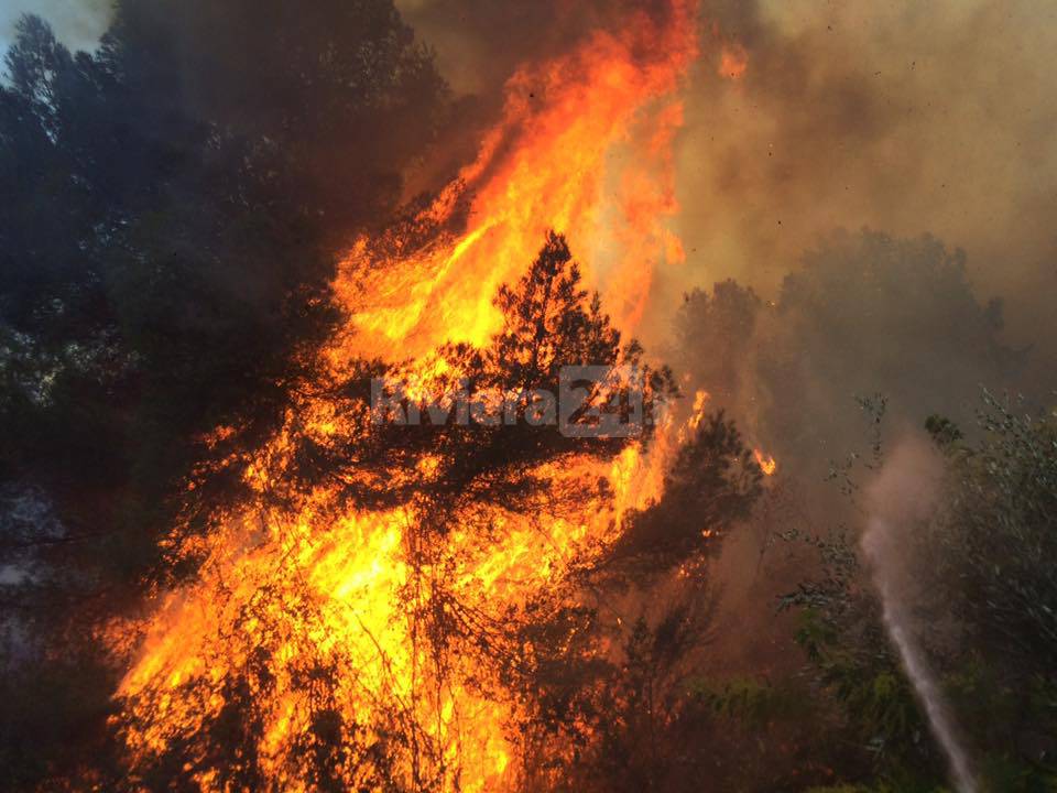 Antincendio boschivo, in Liguria parte la formazione specialistica in operatori di bonifica per volontari Aib e vigili del fuoco