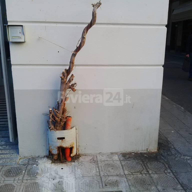 Sporcizia e degrado in piazza Borea d&#8217;Olmo