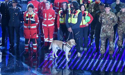 #sanremo2017, “Corto” il Labrador di Amatrice il vero protagonista all’Ariston