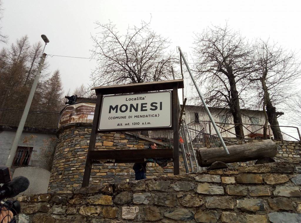 monesi