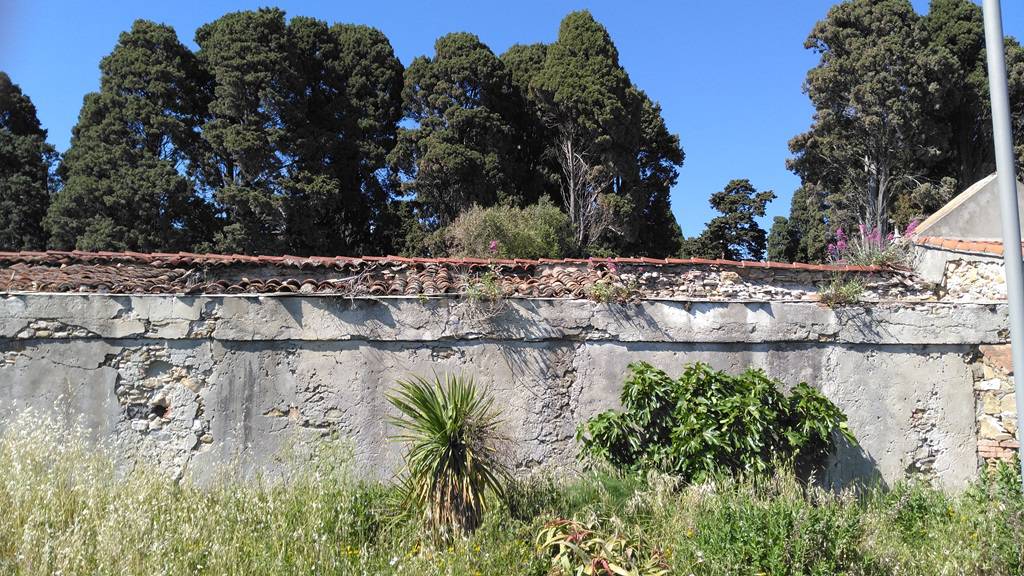 Cimitero Monumentale chiuso, il dolore di una madre &#8220;I defunti gridano vendetta al cospetto di Dio&#8221;