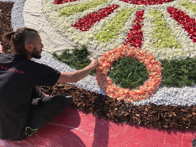 I fiori di Sanremo all’infiorata di Milano, Toti: “Rotto l’isolamento della Liguria”