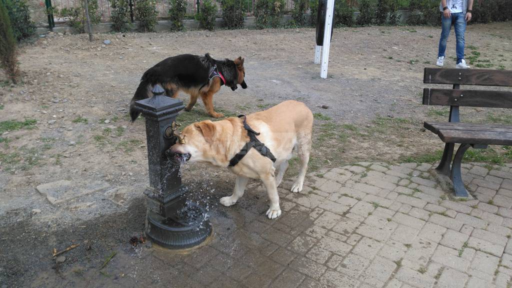 Inaugurata a San Martino un'area per i cani