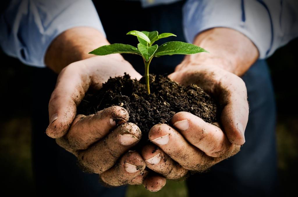 Giornata mondiale dell’ambiente, Coldiretti Liguria: «Biodiversità territoriali preservate con lavoro di agricoltori»