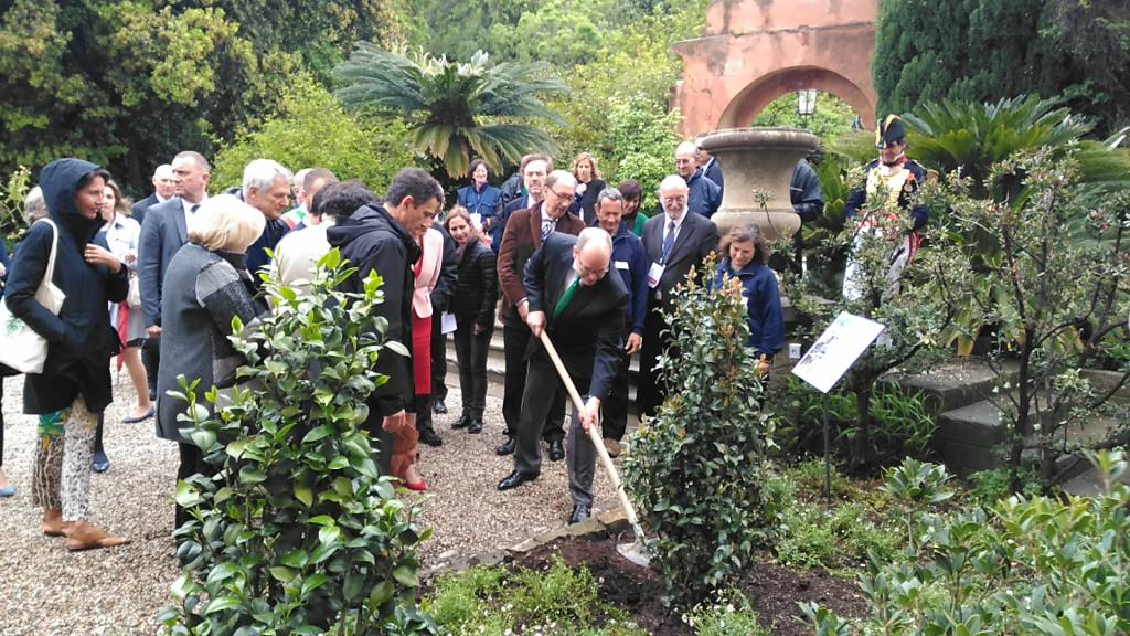 Il Principe di Monaco e un albero dall’Australia per i 150 anni dei Giardini Hanbury di Ventimiglia