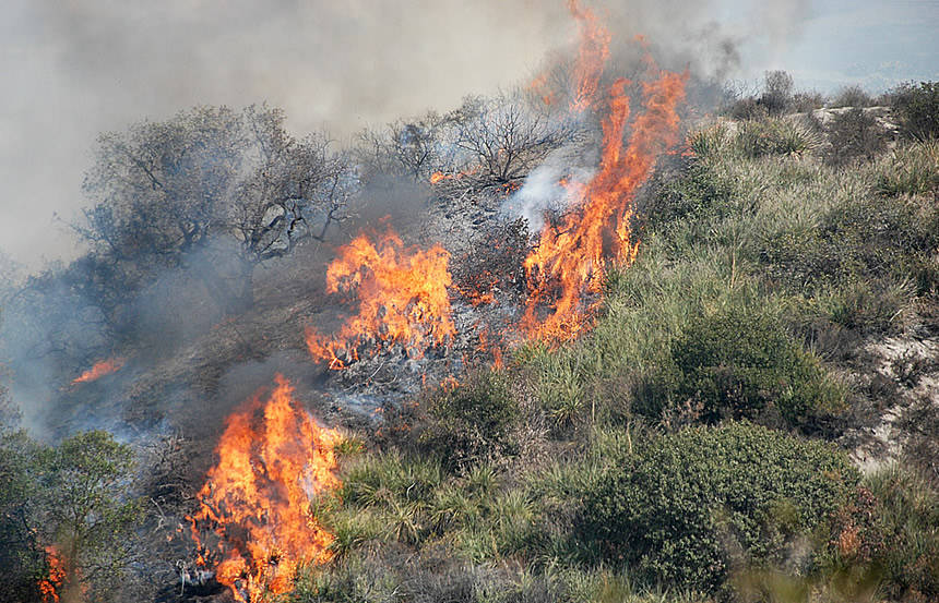 incendio bosco