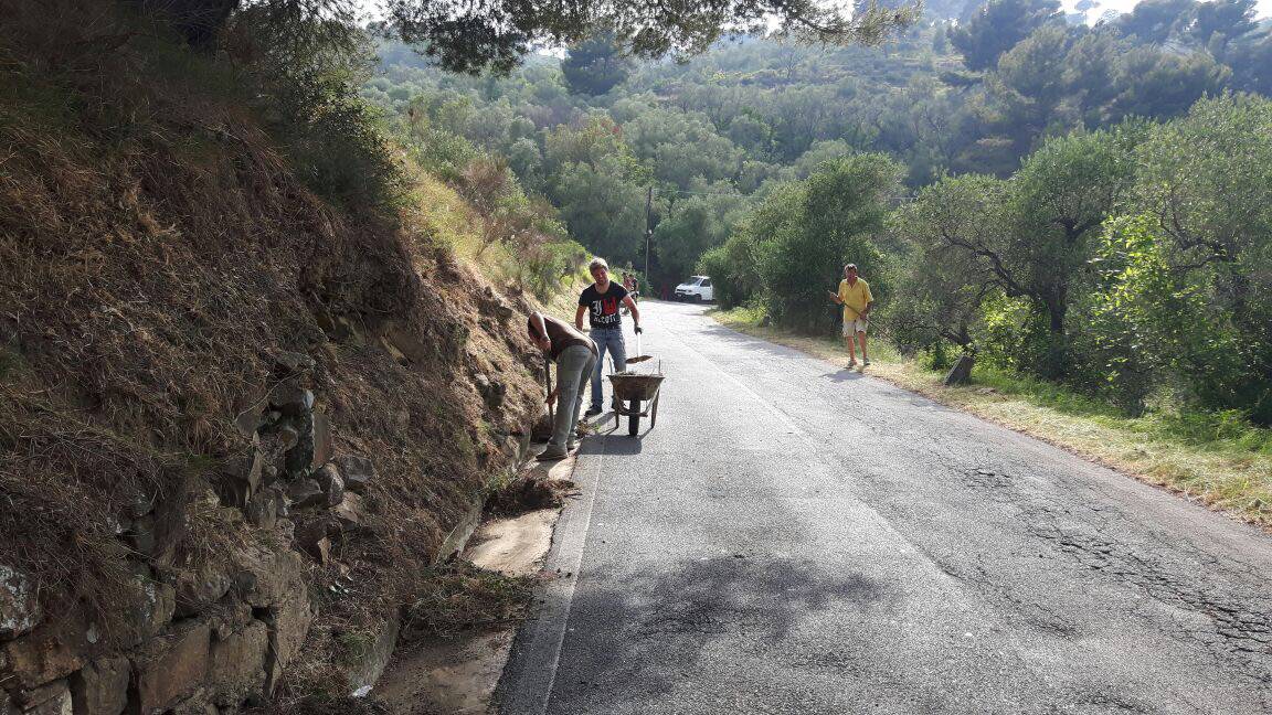 Volontari puliscono la strada provinciale tra Costarainera e Lingueglietta