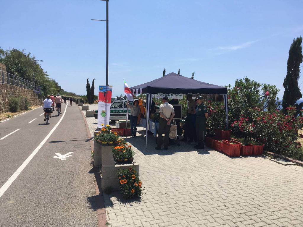 Sanremo, giornata nazionale dedicata alla salvaguardia delle api