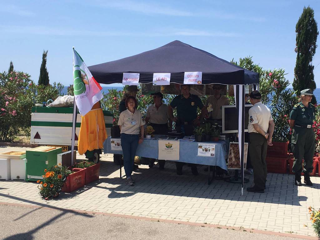 Sanremo, giornata nazionale dedicata alla salvaguardia delle api