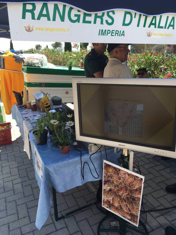 Sanremo, giornata nazionale dedicata alla salvaguardia delle api