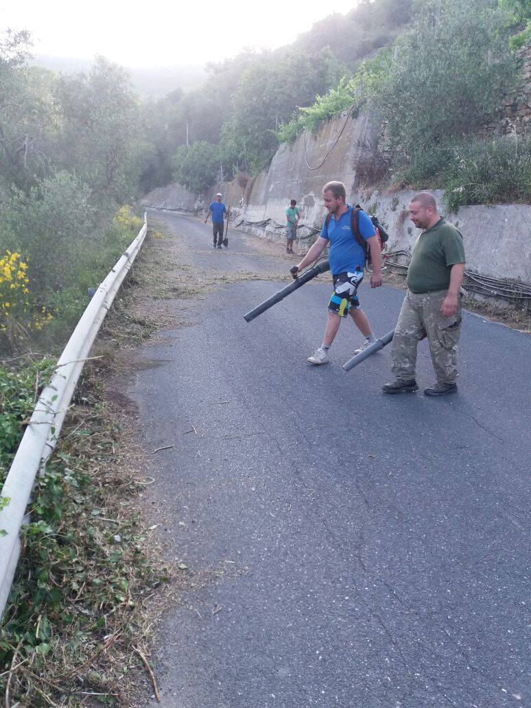 riviera24 - Ripulita dai volontari la provinciale a Pontedassio