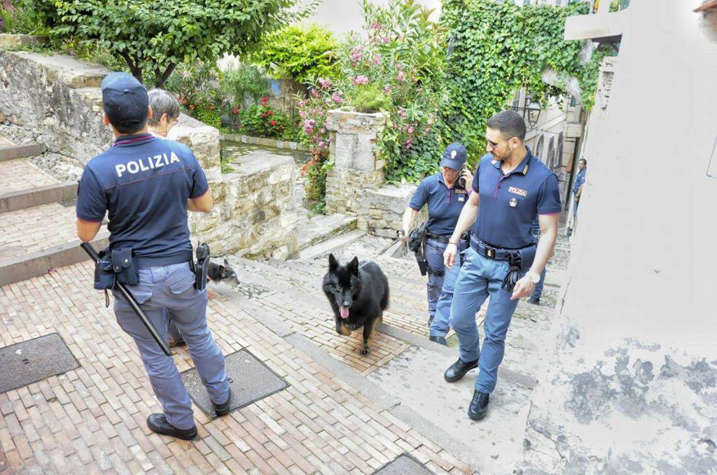 riviera24 - Sanremo polizia cane antidroga nucleo cinofilo centro storico pigna 