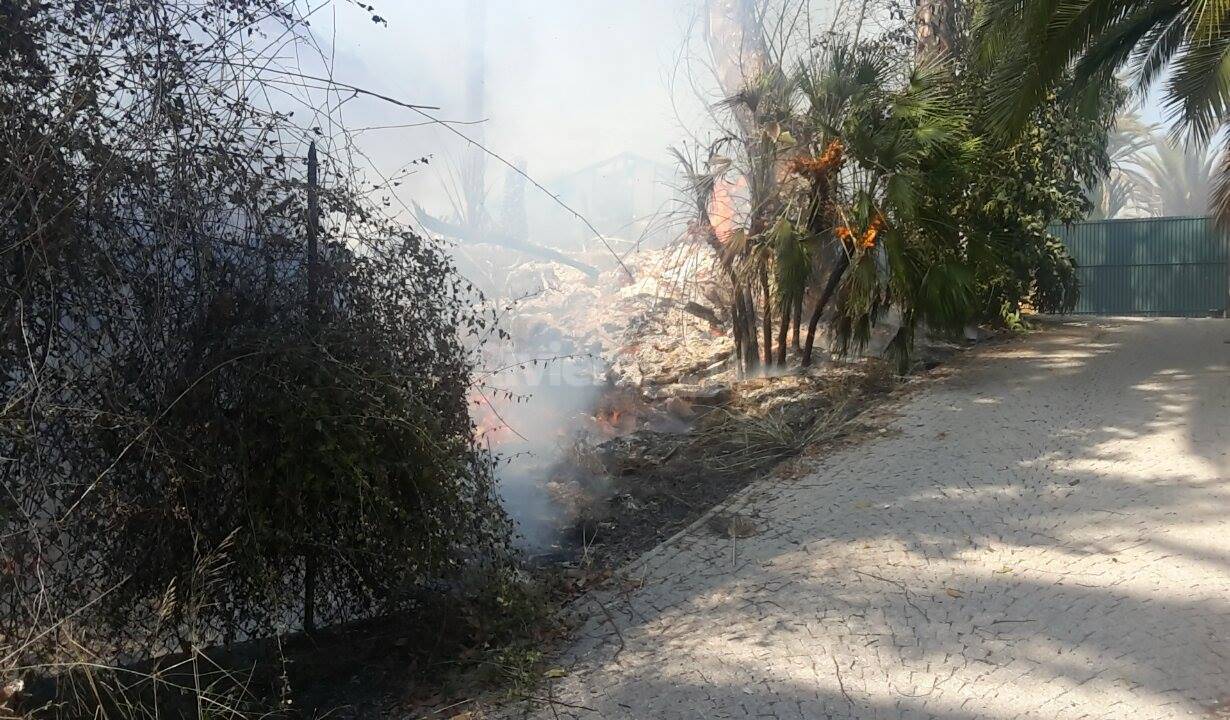 A fuoco una campagna a Bordighera in zona Arziglia, spento rogo dai pompieri