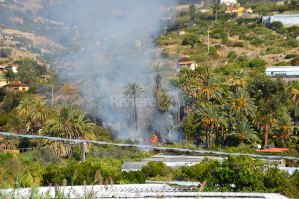 Bordighera, brucia terreno tra le case e il parco Winter