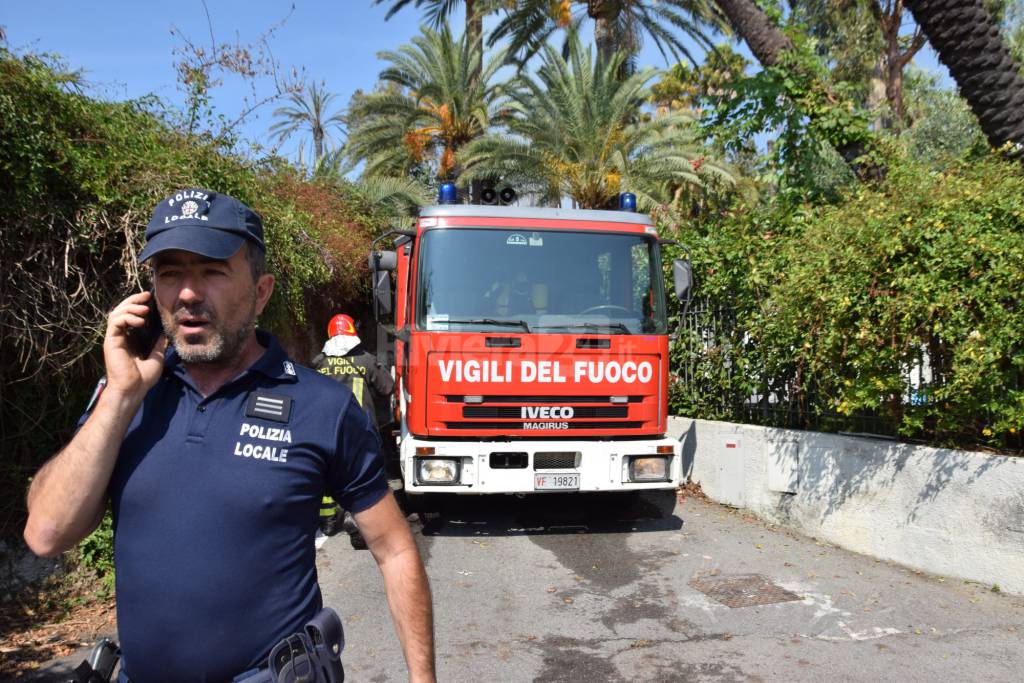 Bordighera, brucia terreno incolto vicino al parco Winter: in fiamme palme e una serra