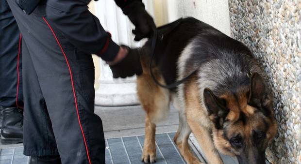 Polizia e cani antidroga alla Scuola Edile di Imperia e all’Istituto Agrario di Sanremo