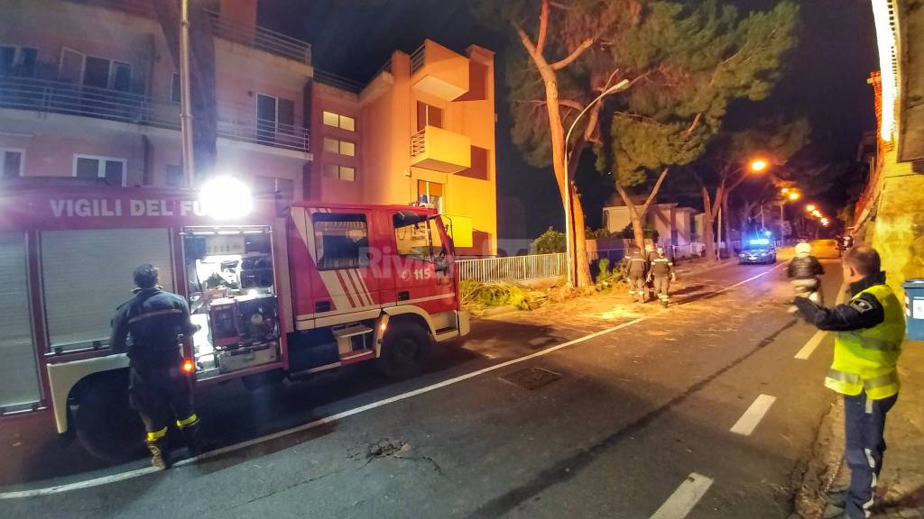 Sanremo, sfiorato l’incidente per il crollo di un grosso ramo in via Padre Semeria