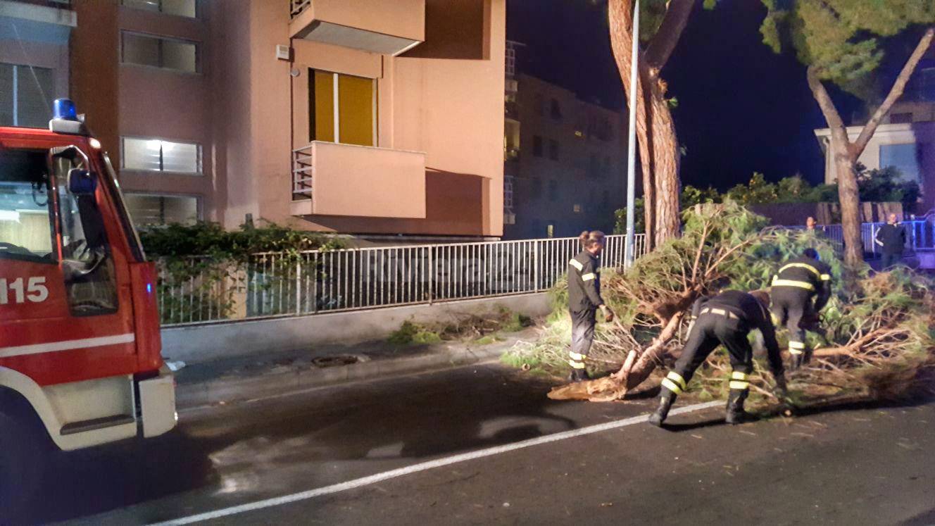 Sanremo, sfiorato l’incidente per il crollo di un grosso ramo in via Padre Semeria