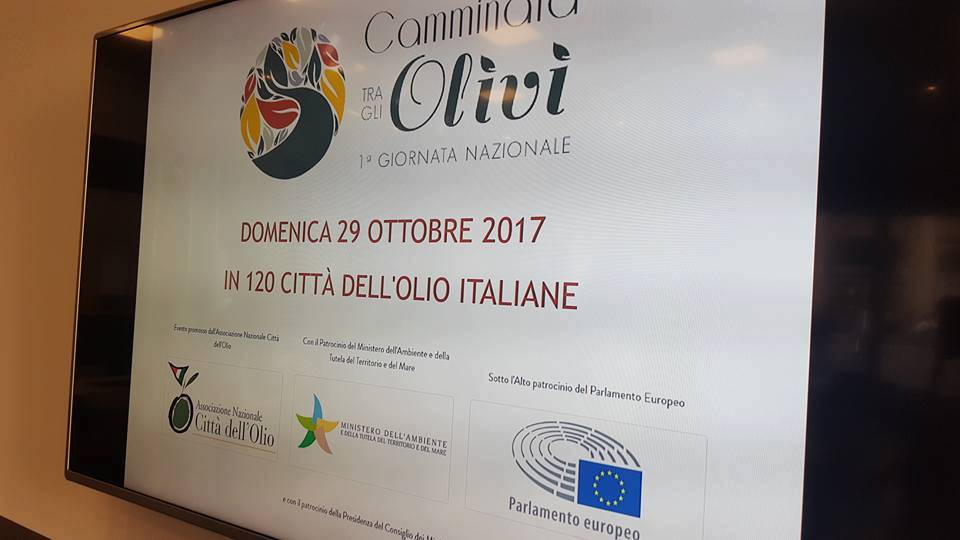 Turismo, anche la provincia di Imperia aderisce alla prima “Giornata nazionale delle città dell’olio”