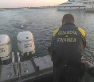 Recuperato dalla guardia di finanza un delfino morto al largo del porto di San Lorenzo al Mare