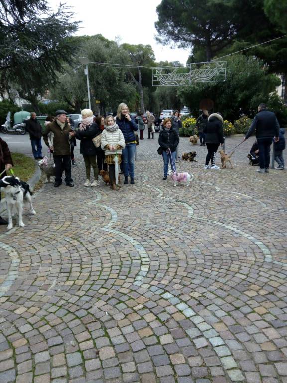 riviera24 - Benedizione degli animali a Vallecrosia