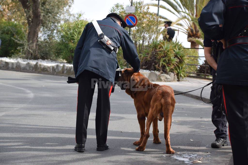 E’ morto Gringo, il cane dei carabinieri che partecipò alle ricerche di Paola Gambino a Bordighera