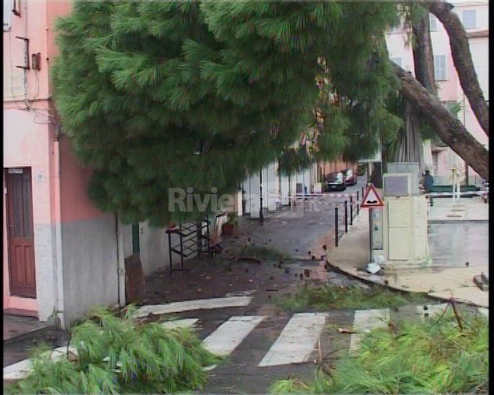 Vento e pioggia a Imperia, pino marittimo si abbatte su edificio