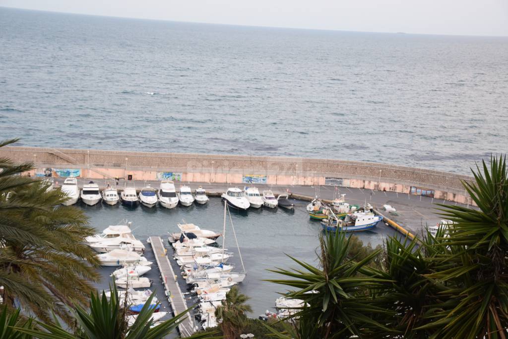 velella porto di Bordighera