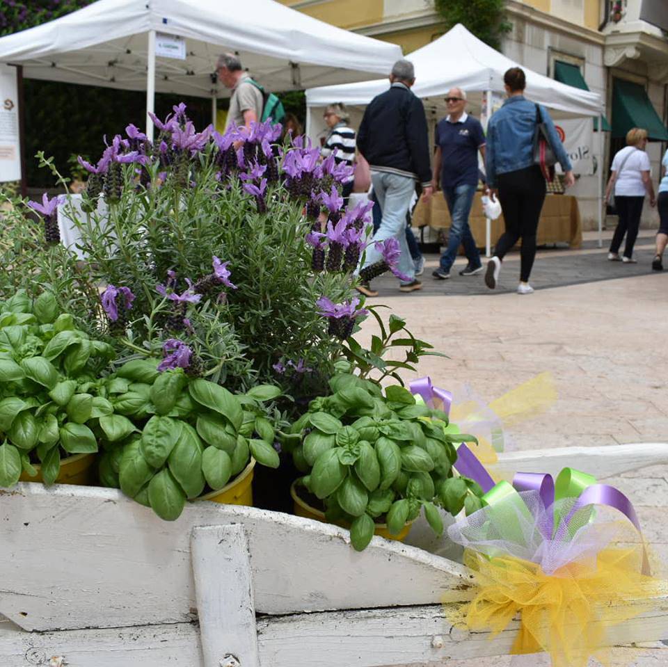 Gran finale oggi a Diano Marina per Aromatica 2018